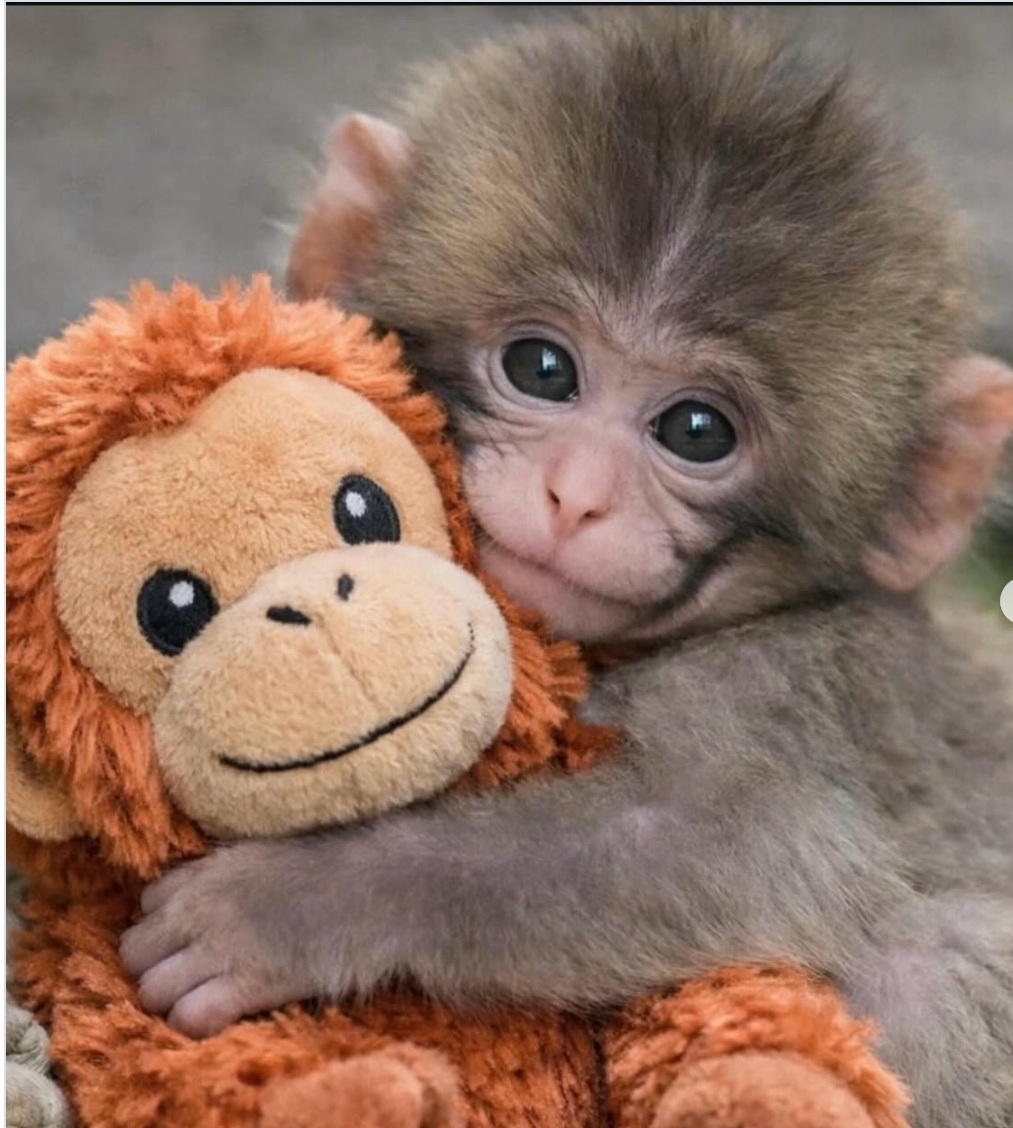 Emotional Anchoring – The leadership trait we&nbsp;overlook